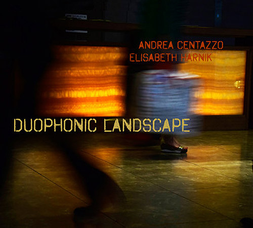 Centazzo, Andrea  / Elisabeth Harnik: Duophonic Landscape (Klanggalerie)