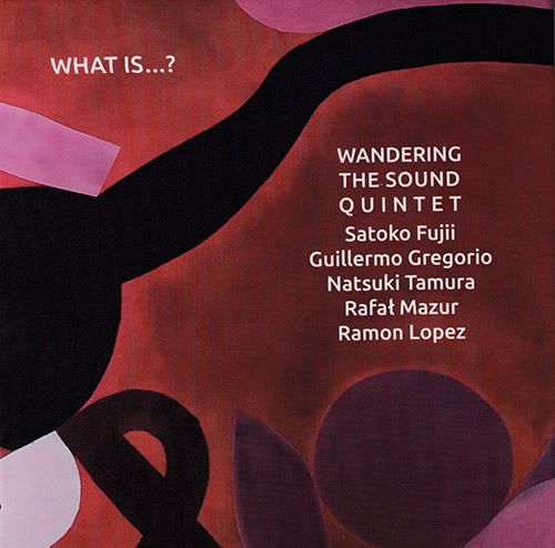 Wandering The Sound Quintet (Satoko Fujii / Guillermo Gregorio / Natsuki Tamuyra / Rafat Mazur / Ram (Not Two)