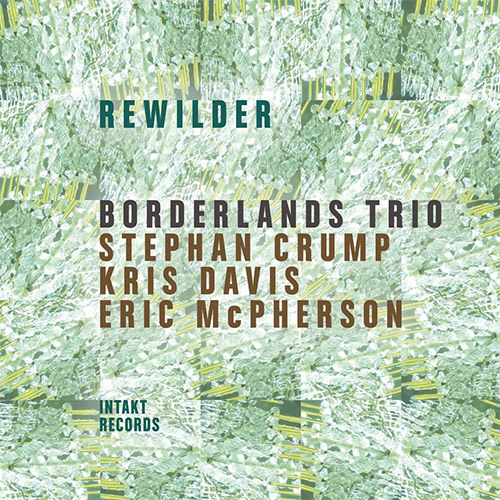 Borderlands Trio (Stephan Crump / Kris Davis / Eric Mcpherson): Rewilder [2 CDs] (Intakt)