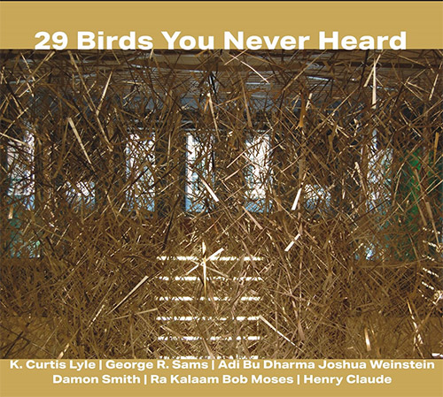 Lyle, K. Curtis / George R. Sams / Ra Kalam Bob Moses: 29 Birds You Never Heard (Balance Point Acoustics)