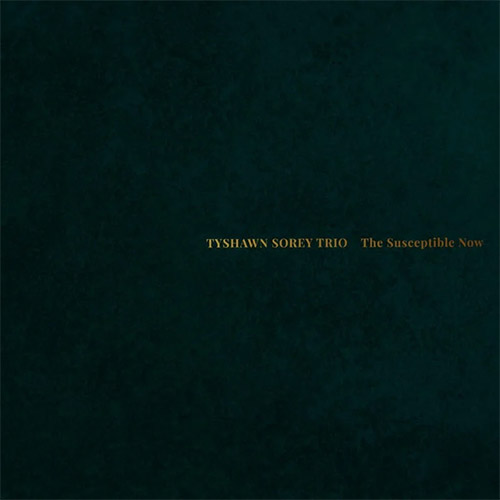 Sorey, Tyshawn  (w/ Diehl / Ragahavan): The Susceptible Now (Pi Recordings)