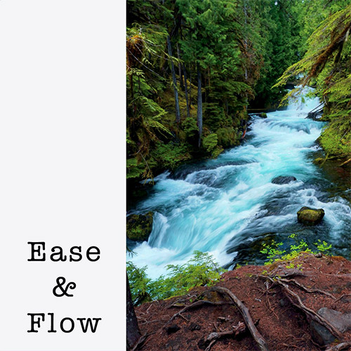 Gregg, J.J. / Pavan Kanekal: Ease & Flow [CD + DOWNLOAD] (IntangibleCat)