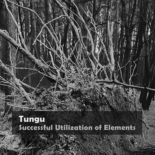 Tungu: Successful Utilization of Elements (Public Eyesore)