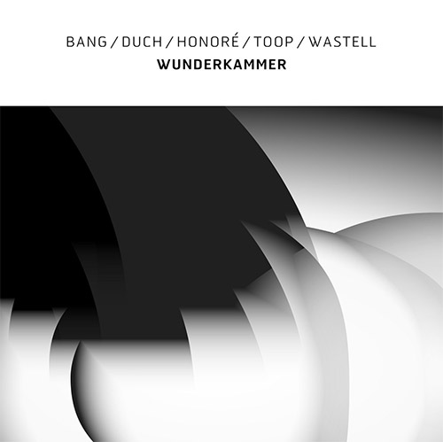 Bang / Duch / Honore / Toop / Wastell: Wunderkammer [VINYL] (Confront)