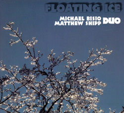 Bisio, Michael / Matt Shipp Duo: Floating Ice