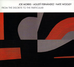 Morris / Fernandez / Wooley: From The Discrete To The Particular