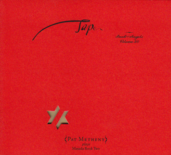 Metheny, Pat: Tap: The Book Of Angels Vol. 20