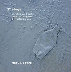 Wodrascka, Christine / Jean-Luc Cappozzo / Gerry Hemingway: Grey Matter (NoBusiness)