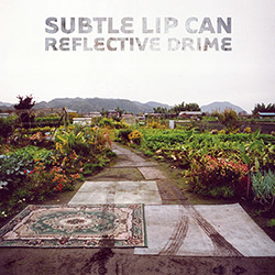 Subtle Lip Can: Reflective Drime