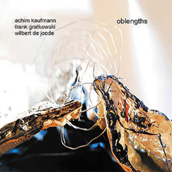 Kaufmann, Achim / Frank Gratkowski /Wilbert de Joode: Oblengths