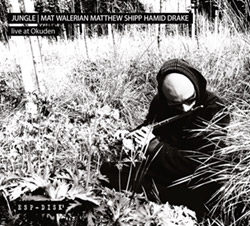 Jungle: Mat Walerian / Matthew Shipp / Hamid Drake: Live at Okuden [2 CDs] (ESP-Disk)