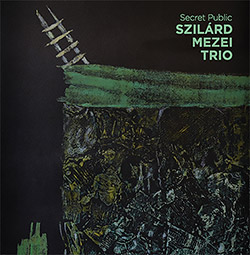 Mezei, Szilard Trio: Secret Public