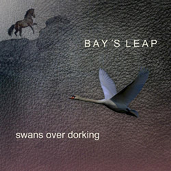 Bay's Leap: Swans Over Dorking