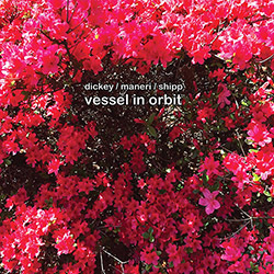 Dickey, Whit / Mat Maneri / Matthew Shipp: Vessel In Orbit