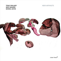 Malaby, Tony / Mat Maneri / Daniel Levin: New Artifacts