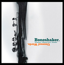 Boneshaker (Mars Williams / Paal Nilssen-Love /  Kent Kessler): Unusual Words