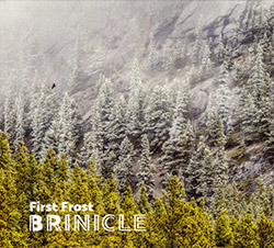 Brinicle (McCormick / Bjorgo / Antalova): First Frost