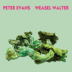 Evans, Peter / Weasel Walter: Poisonous (ugEXPLODE)