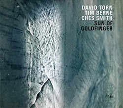 Torn, David / Tim Berne / Ches Smith: Sun Of Goldfinger