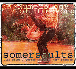 Somersaults (Olie Brice / Tobias Delius / Mark Sanders): Numerology of Birdsong