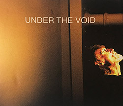 Hodgkinson, Tim: Under The Void (Recommended Records)