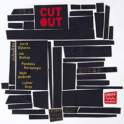 Dijkstra / Bishop / Karayorgis / McBride / Gray: Cutout (Driff Records)