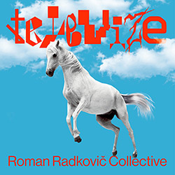 Roman Radkovic Collective: Televize [VINYL]