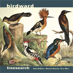 Treesearch (GoGwilt / Motl / Kuester): Birdward