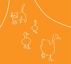 Dulin, Tucker / Ben Owen: Cat Guarding Geese