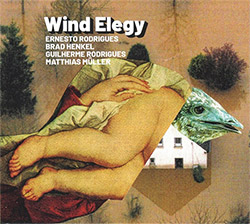 Rodrigues, Ernesto / Brad Henkel / Guilherme, Rodrigues / Matthias Muller : Wing Elegy