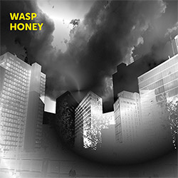 Archer, Martin (w/ John Jasnoch / Sarah Farmer / Lee Boyd Allatson): Wasp Honey