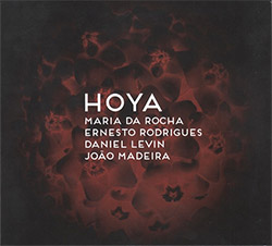 da Rocha / Rodrigues / Levin / Madeira: Hoya