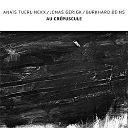 Anais Tuerlinckx / Jonas Gerigk / Burkhard Beins: Au Crepuscule (Confront)