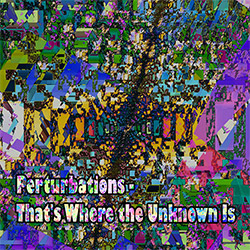 Perturbations: That's Where the Unknown Is <i>[Used Item]</i> (Evil Clown)