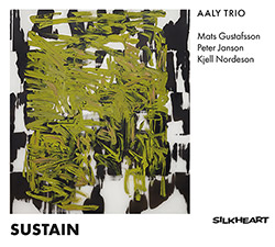 AALY Trio (Gustafsson / Nordeson / Janson): Sustain