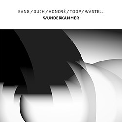 Bang / Duch / Honore / Toop / Wastell: Wunderkammer [VINYL]