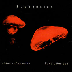 Cappozzo / Perraud: Suspension (Creative Sources)