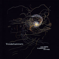 Rhodri Davies / Lee Patterson / David Toop: Wunderkammern (Another Timbre)