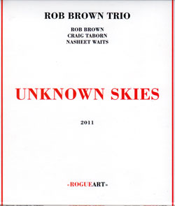Brown, Rob: Unknown Skies (RogueArt)