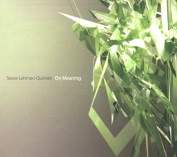 Lehman, Steve Quintet : On Meaning